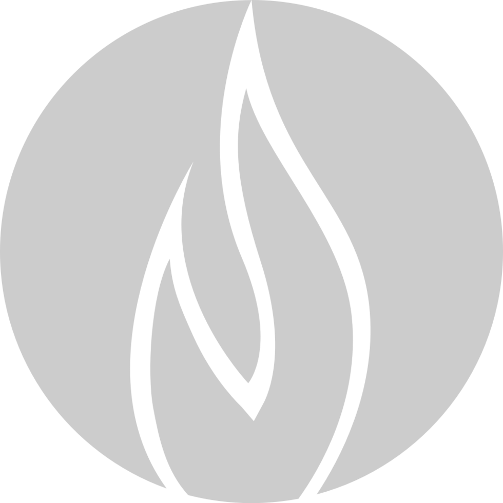 Flame Icon vector
