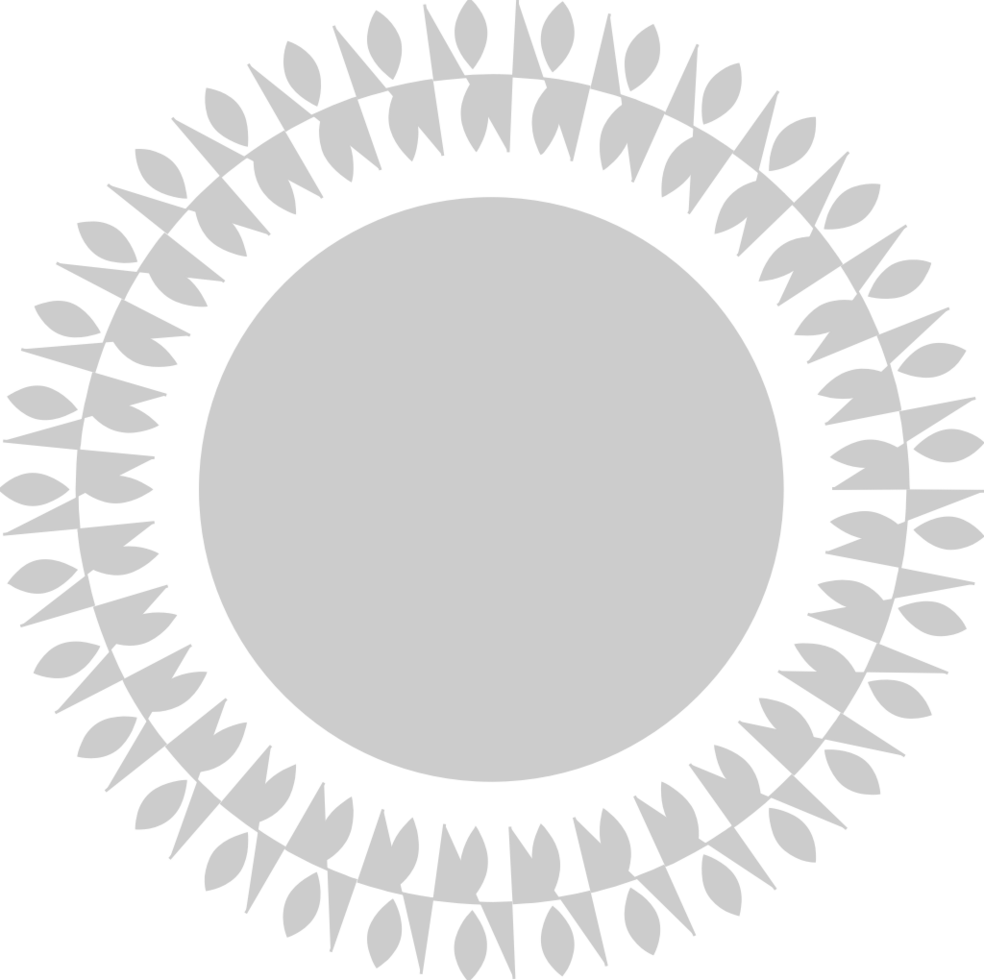 Circle decoration vector