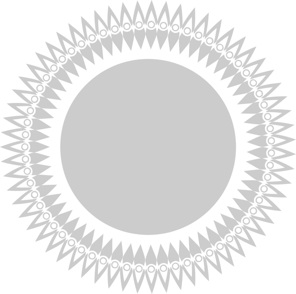 Circle decoration vector