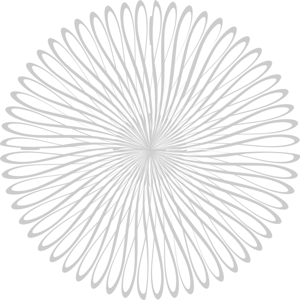 Circle abstract decorative vector