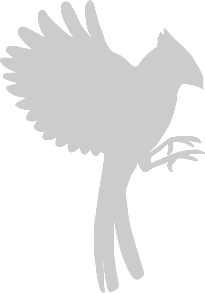 Cardnial vector