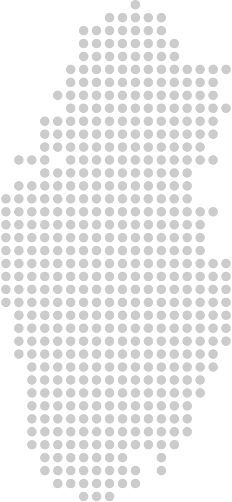 qatar dot map vector