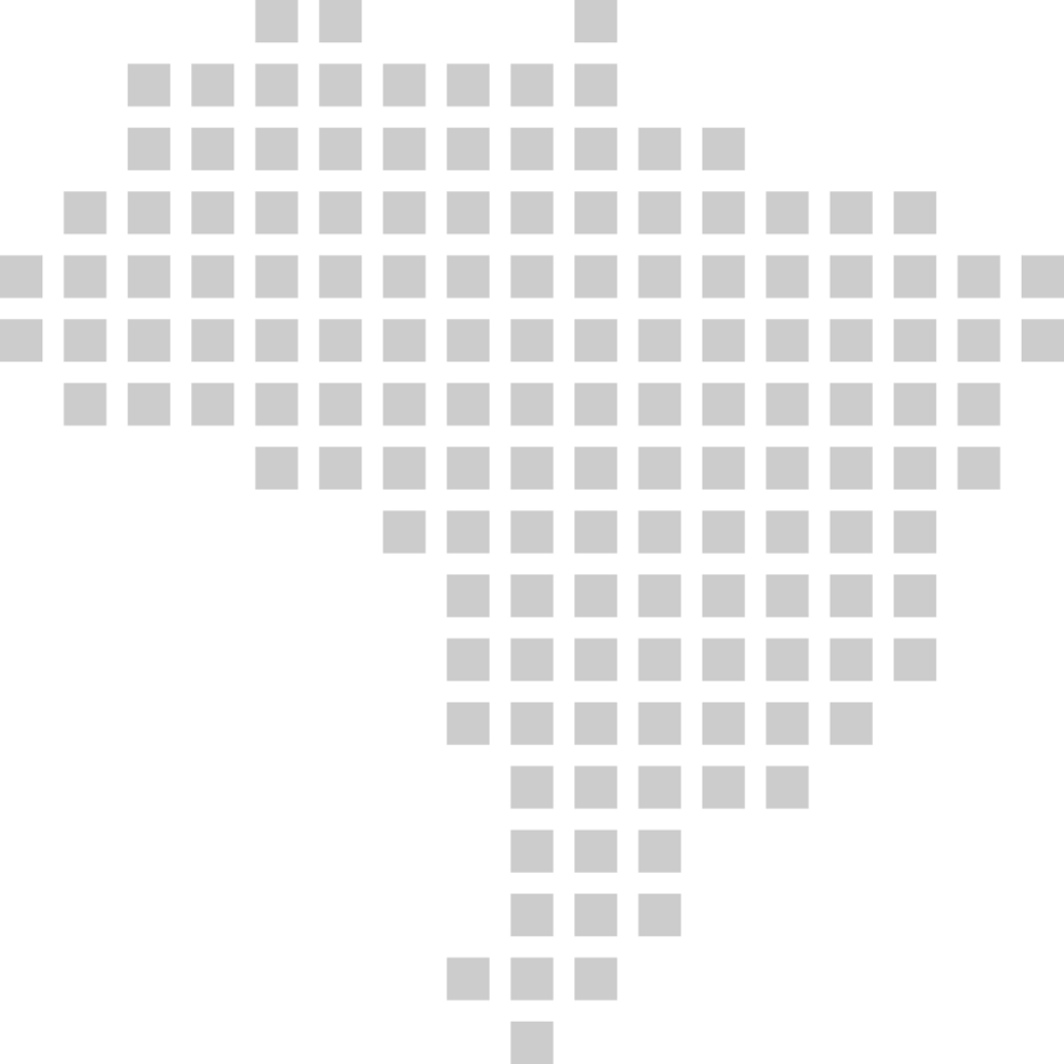 brazil map vector