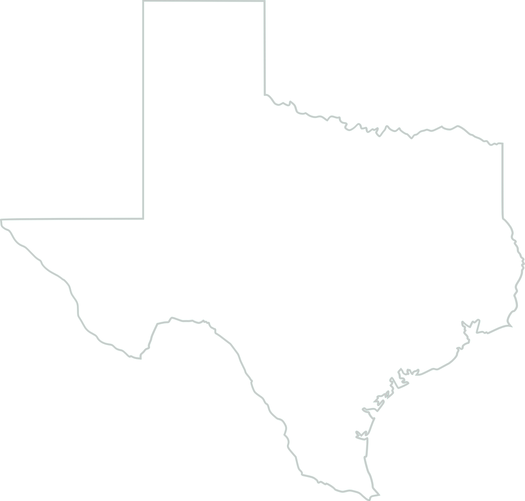 texas map vector