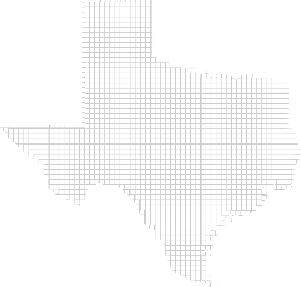 Texas vector