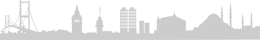 Big city skylines vector