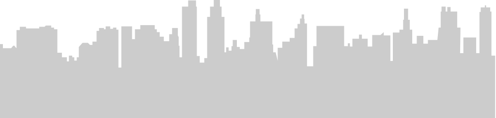 Big city skylines vector
