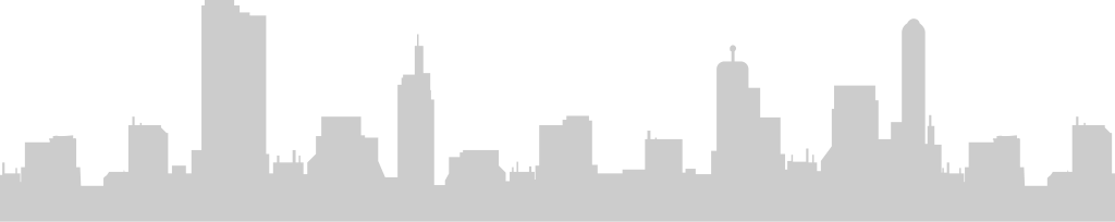 Big city skylines vector