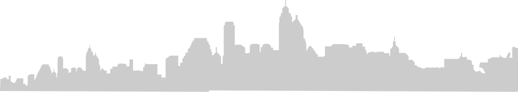 Big city skylines vector