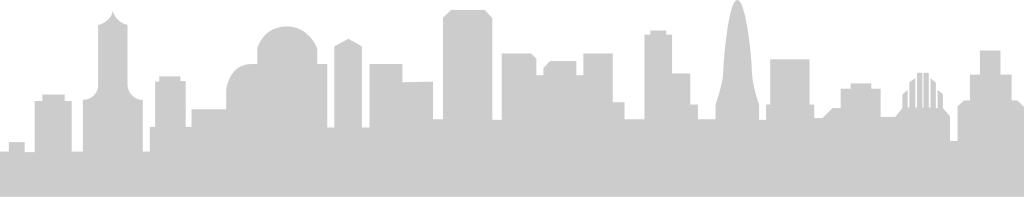 Big city skylines vector