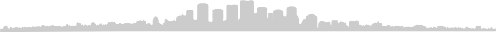 Big city skylines vector