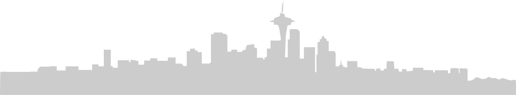 Big city skylines vector
