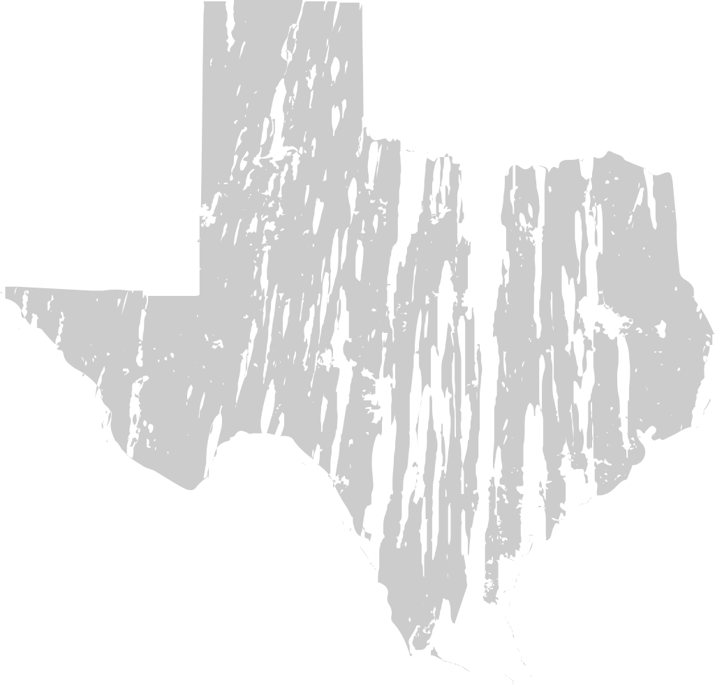 Texas vector
