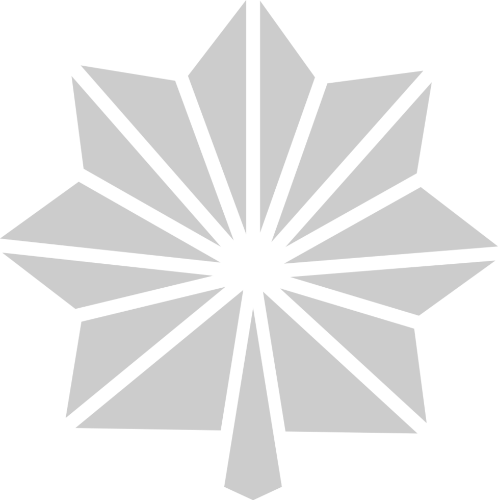 medal star  vector