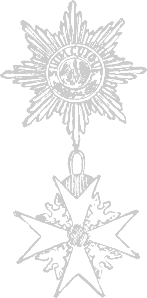 war medal vector