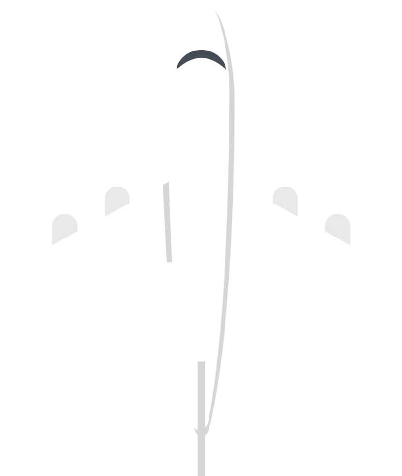 airplane vector