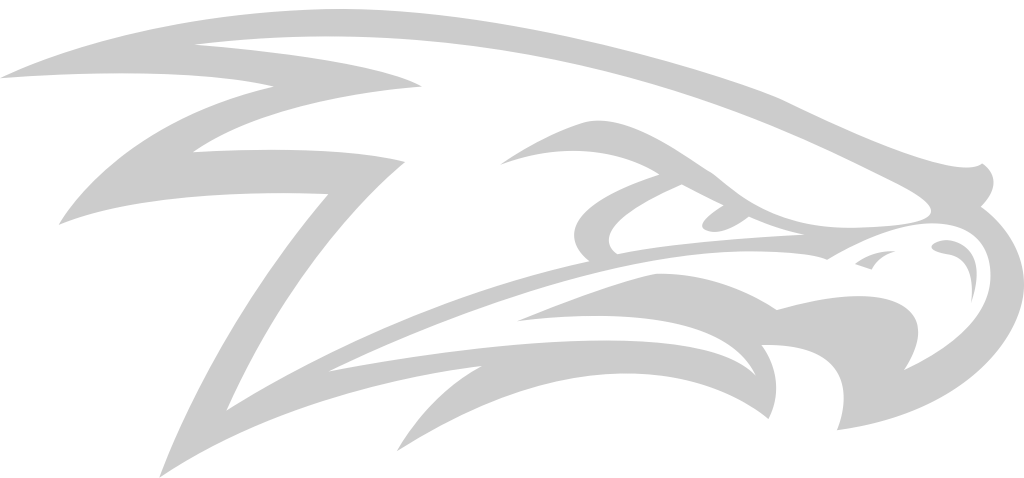 hawk mascot vector