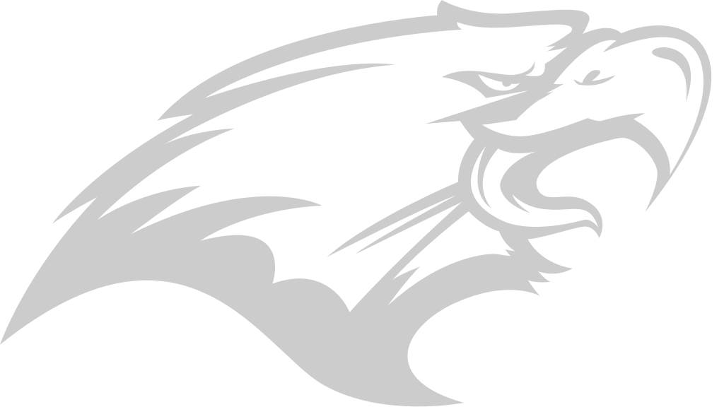 hawk mascot vector