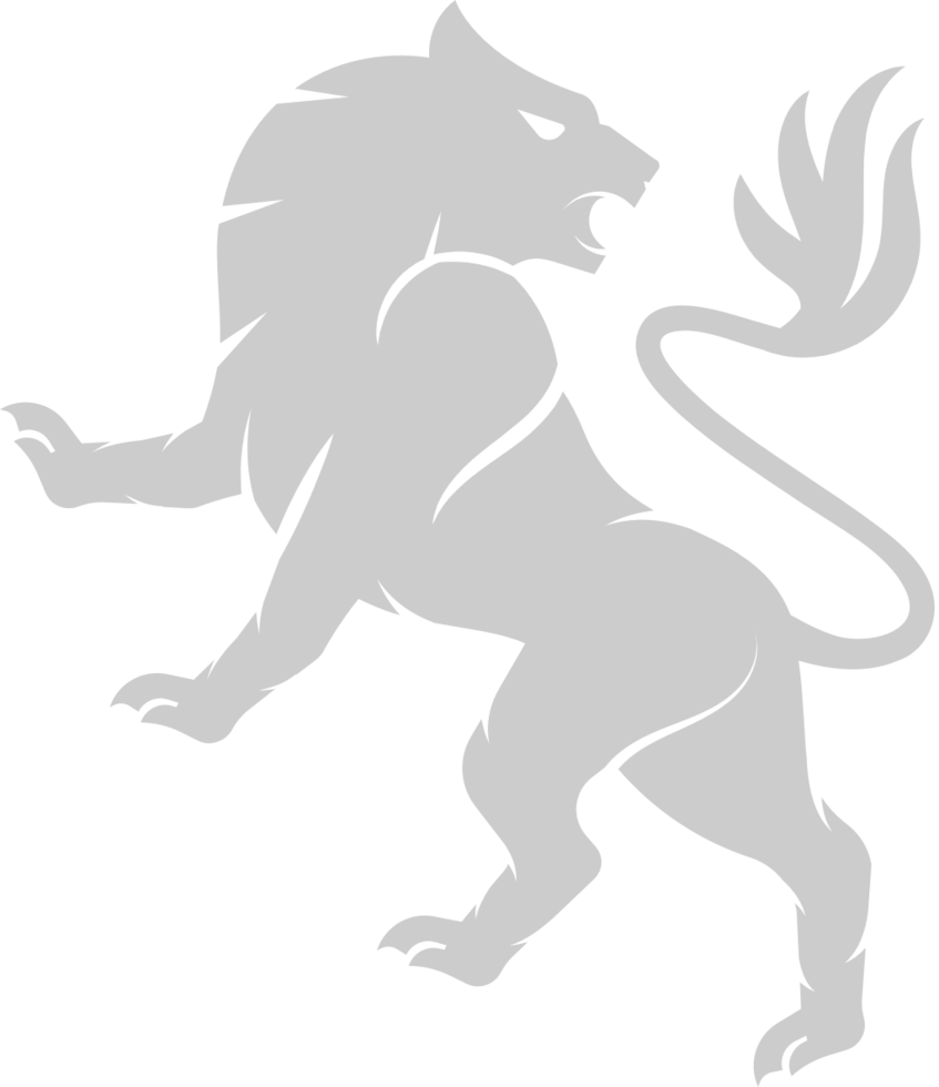 lion vector