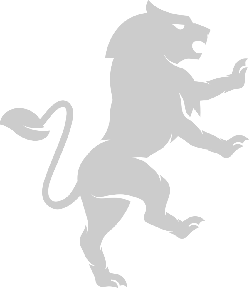 lion vector