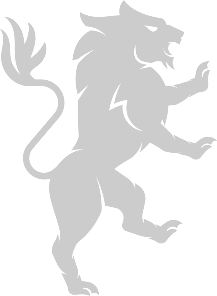 lion vector