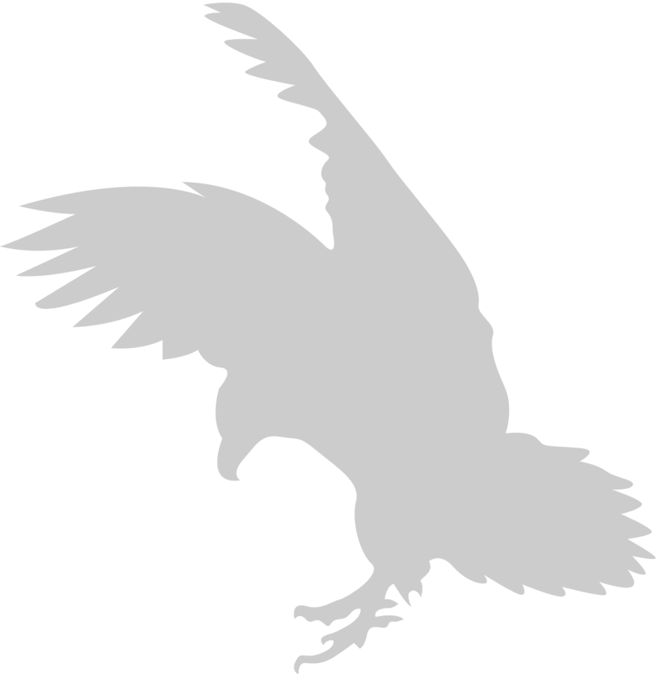 flying eagle vector