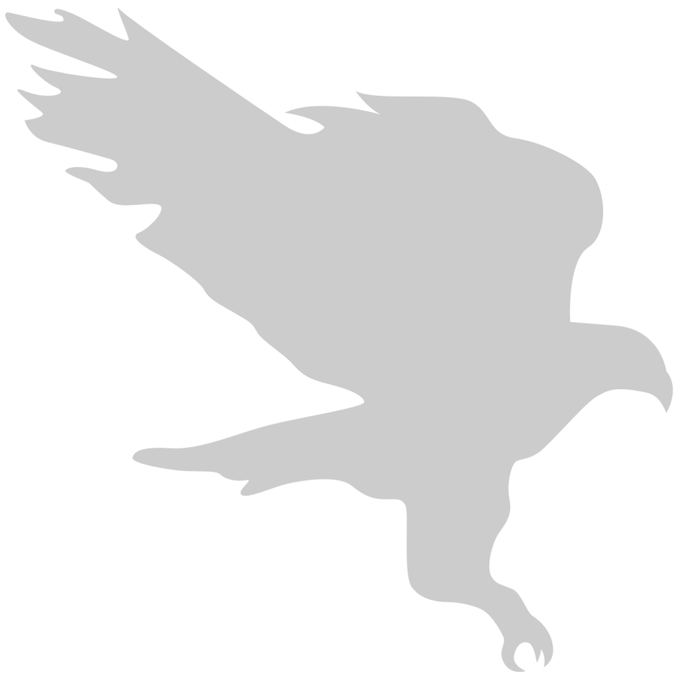 flying eagle vector