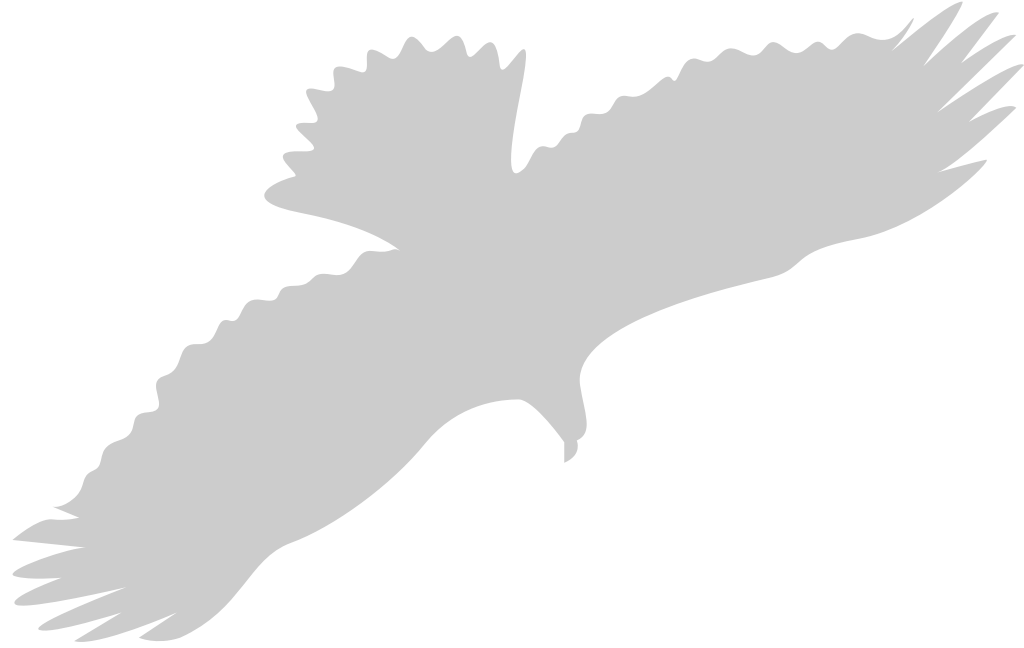 flying eagle vector