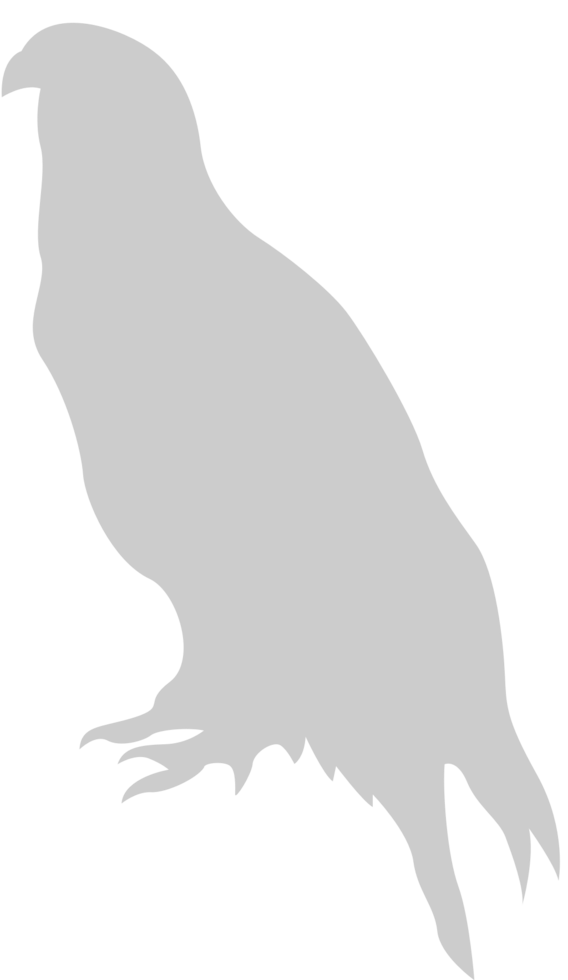 eagle vector