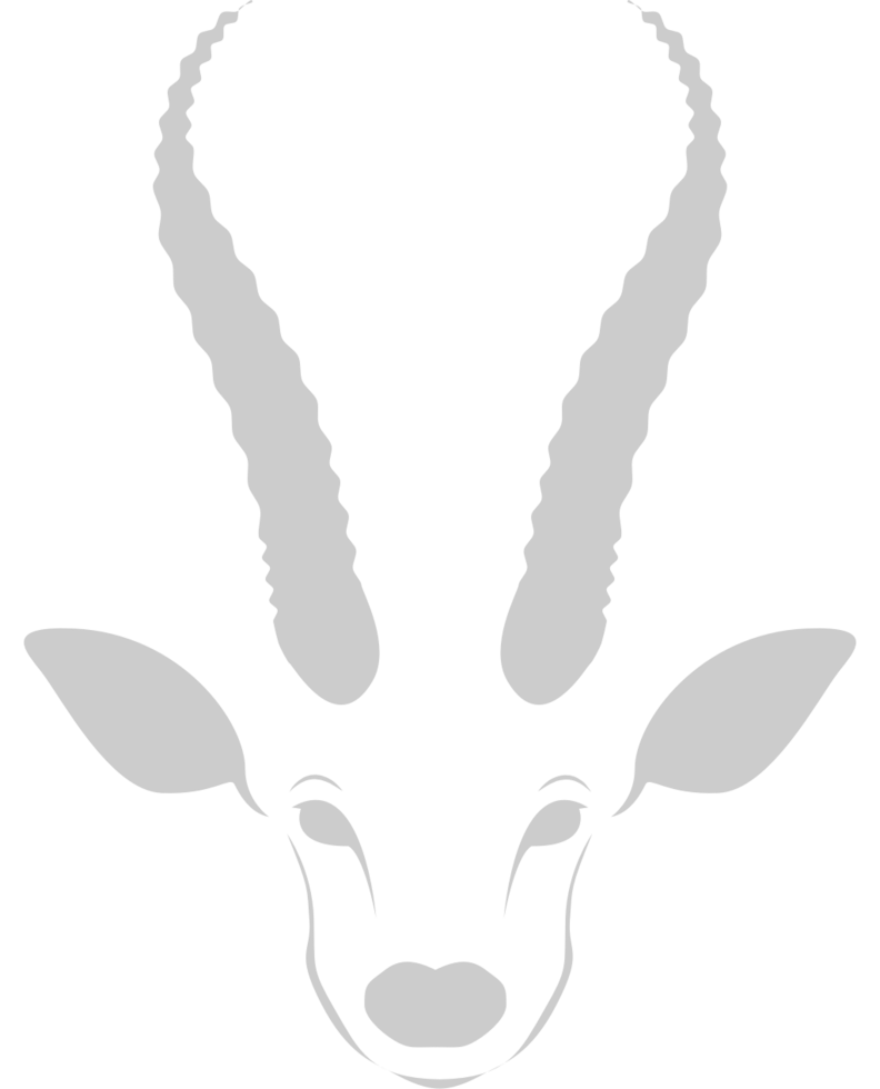 kudu head vector