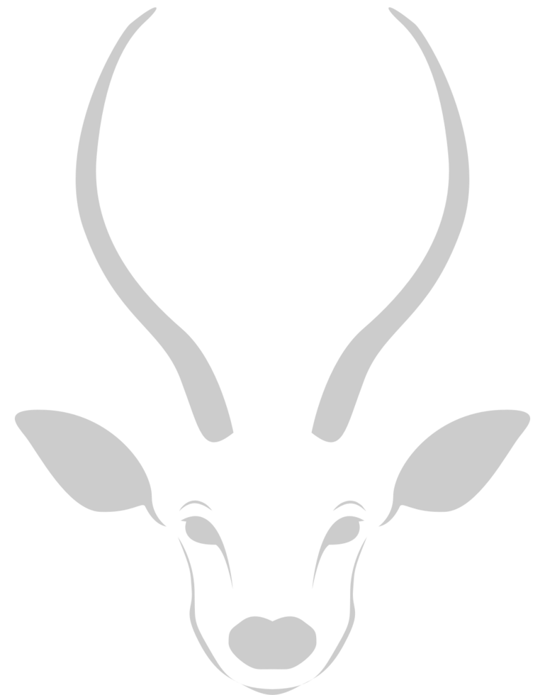 kudu head vector