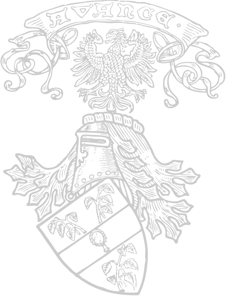 heraldic eagle vector