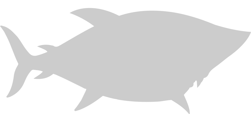 shark mascot vector