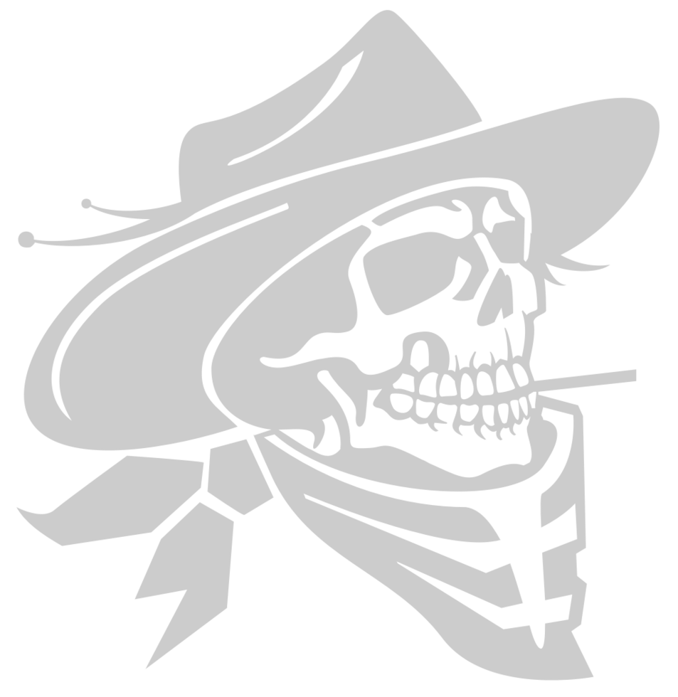 skull cowboy vector