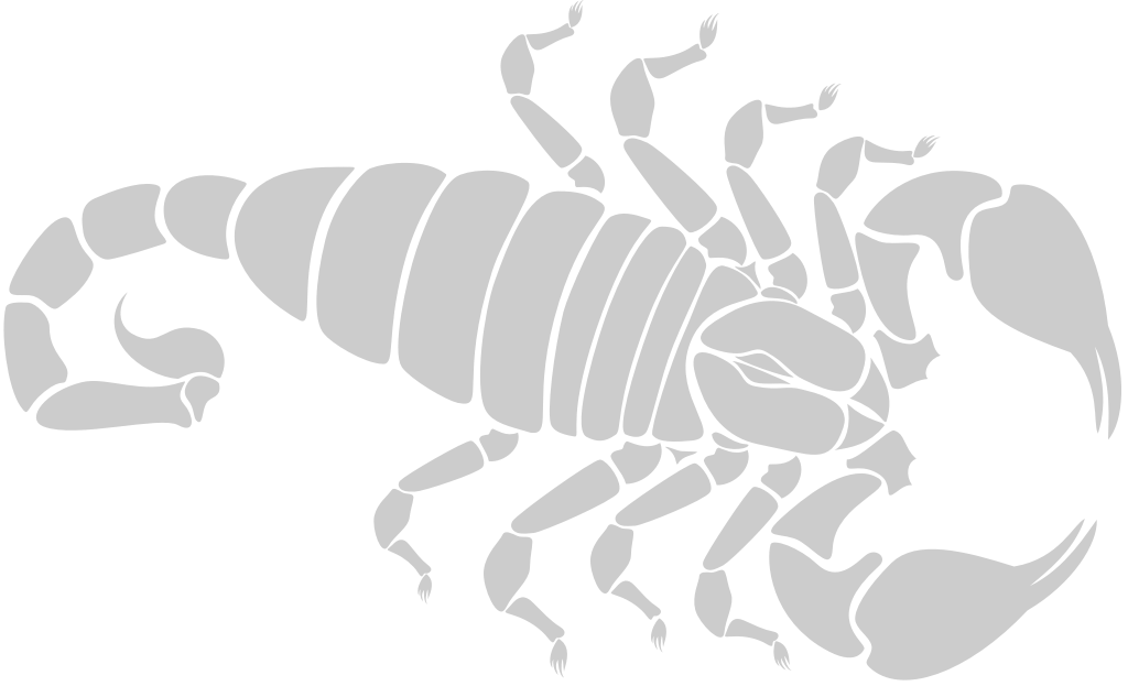 Scorpion vector