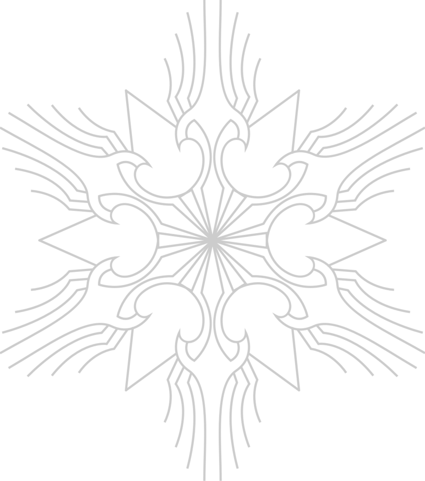 Snowflake vector