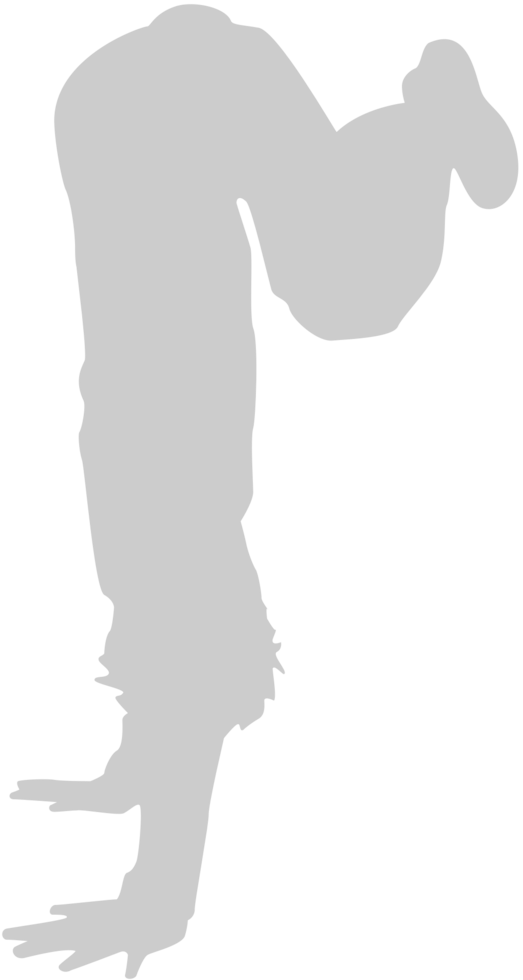 Dance vector