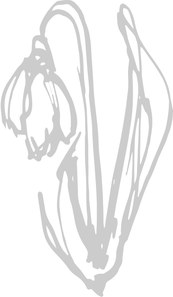 Spring vector