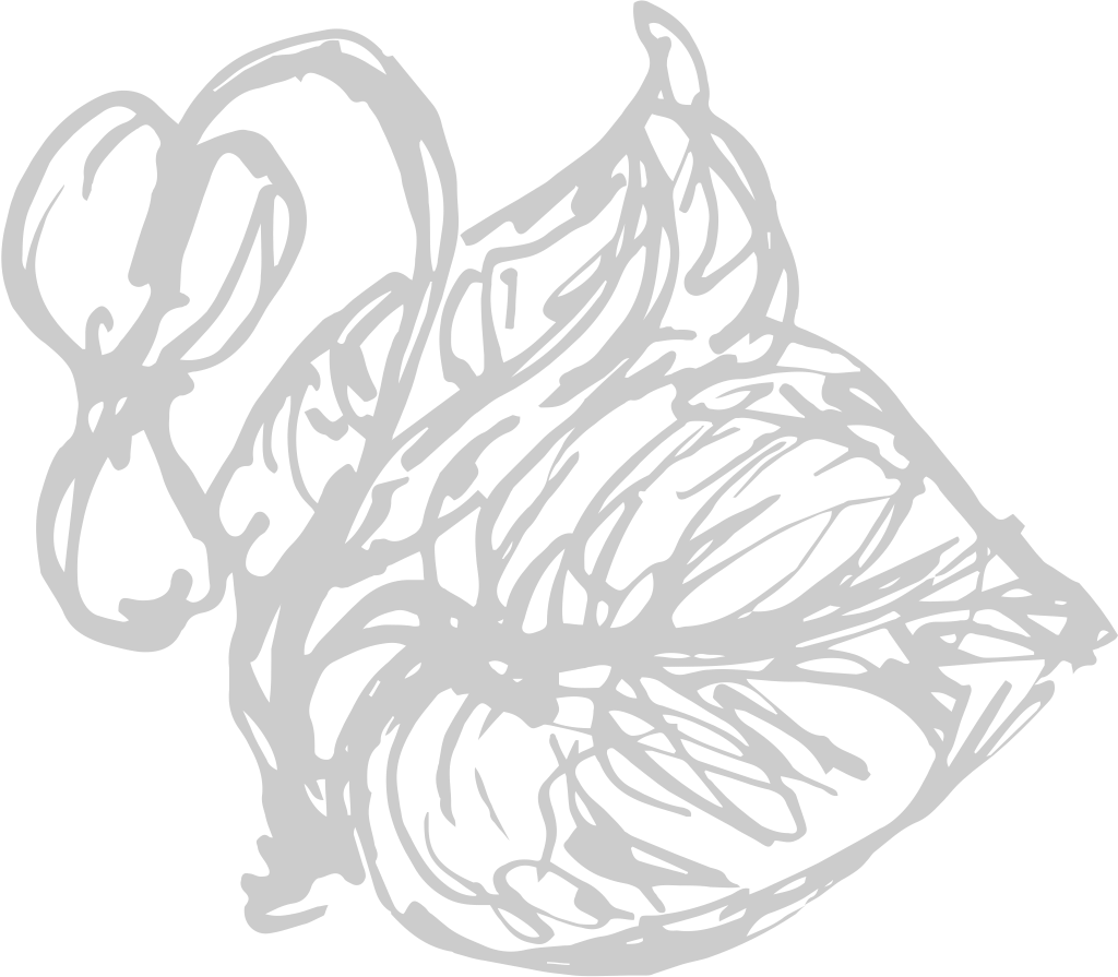 Spring vector