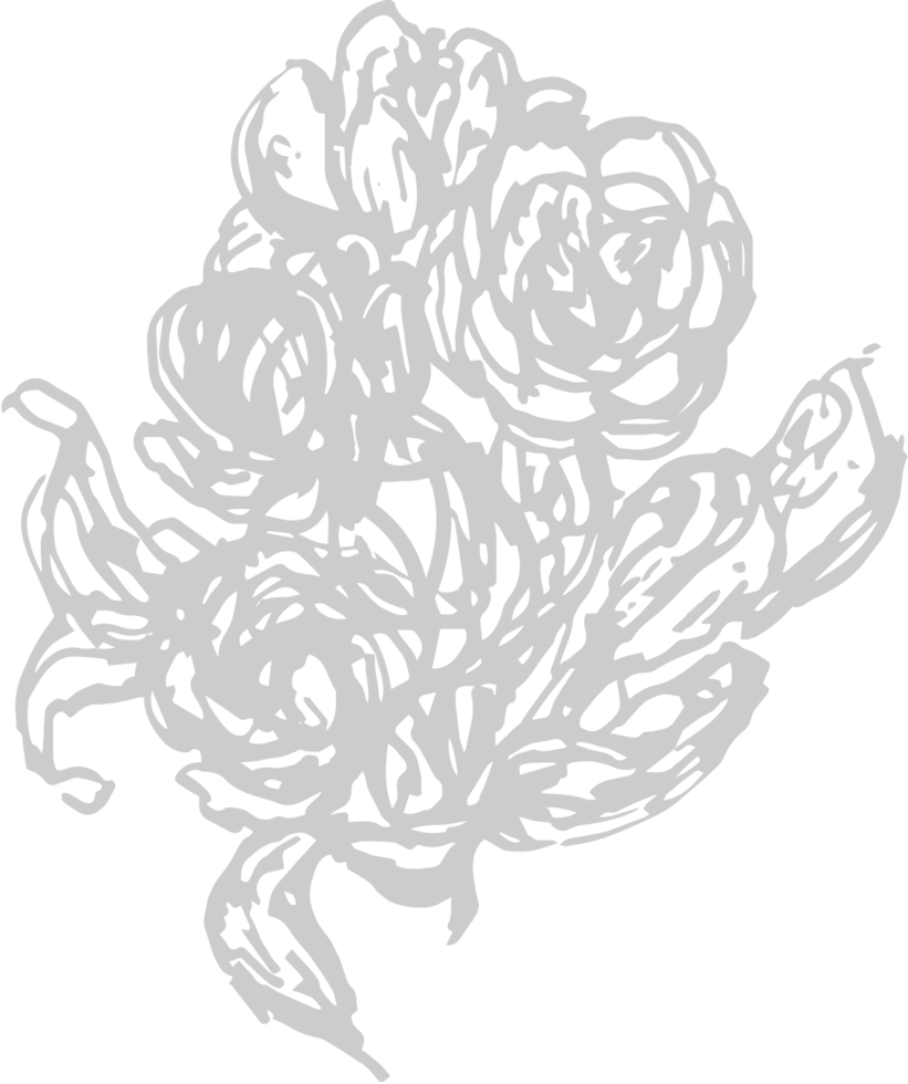 Spring vector