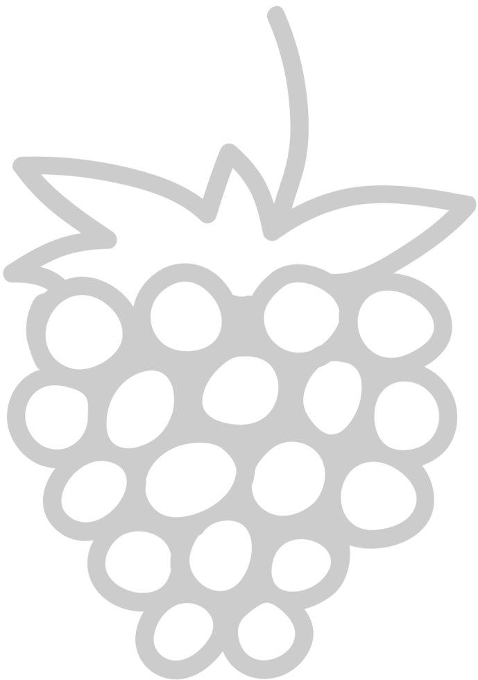 Fruit vector
