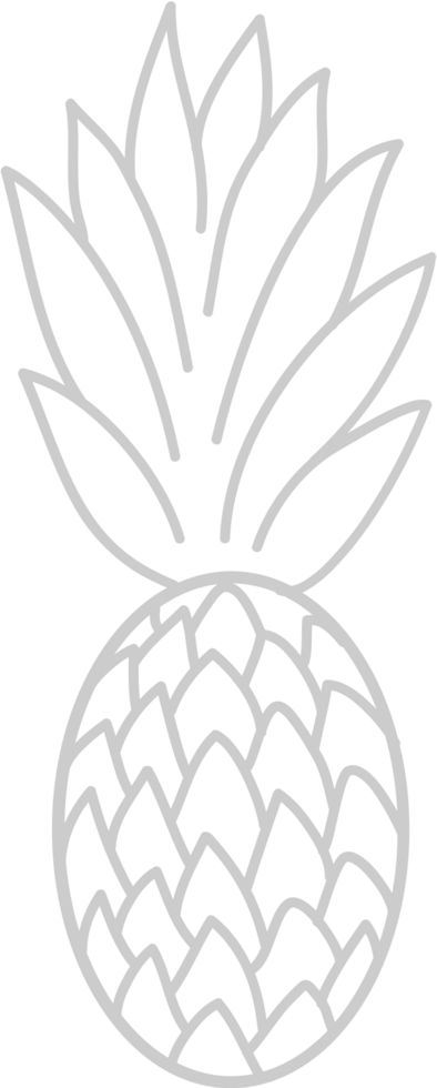 Fruit vector