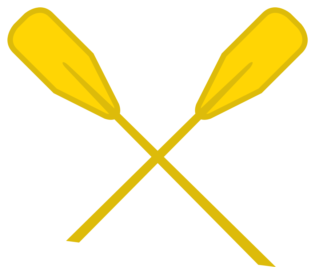 canoe paddle vector