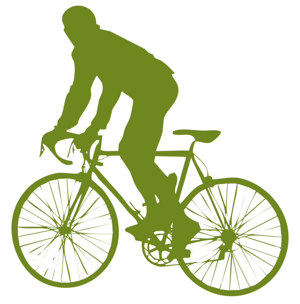 cycling vector