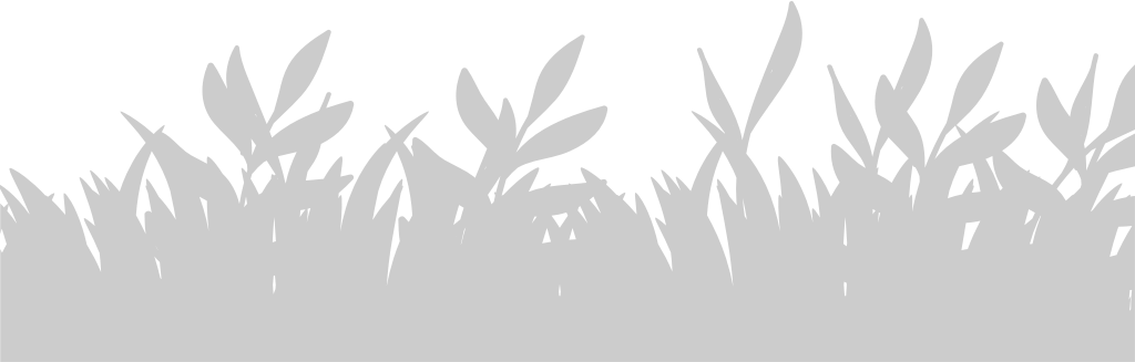 Grass vector