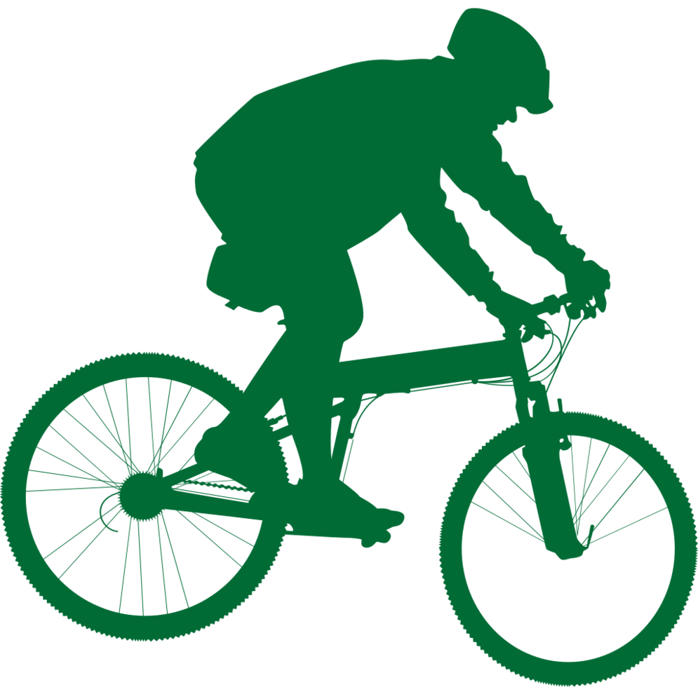 cycling vector