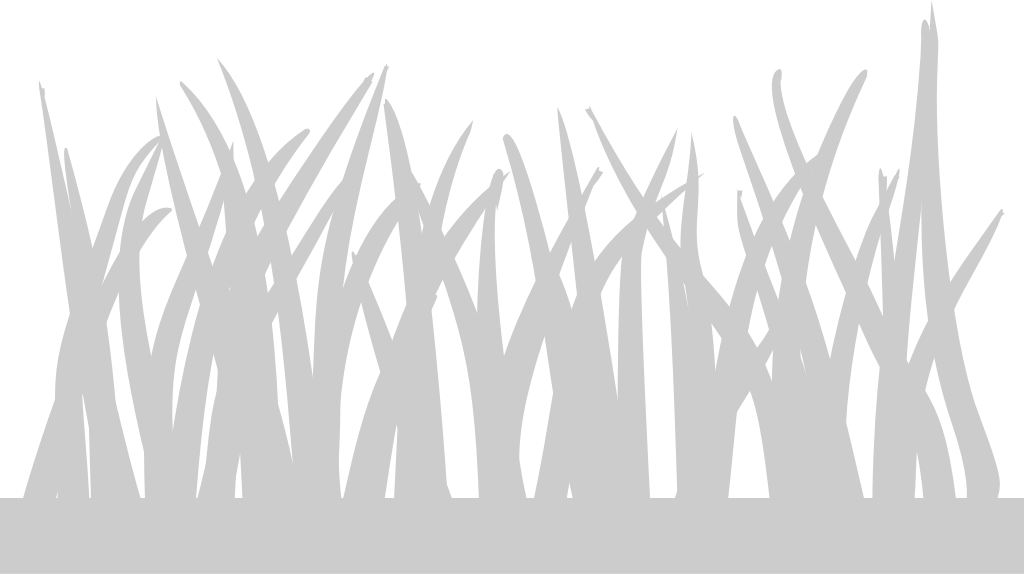 Grass vector