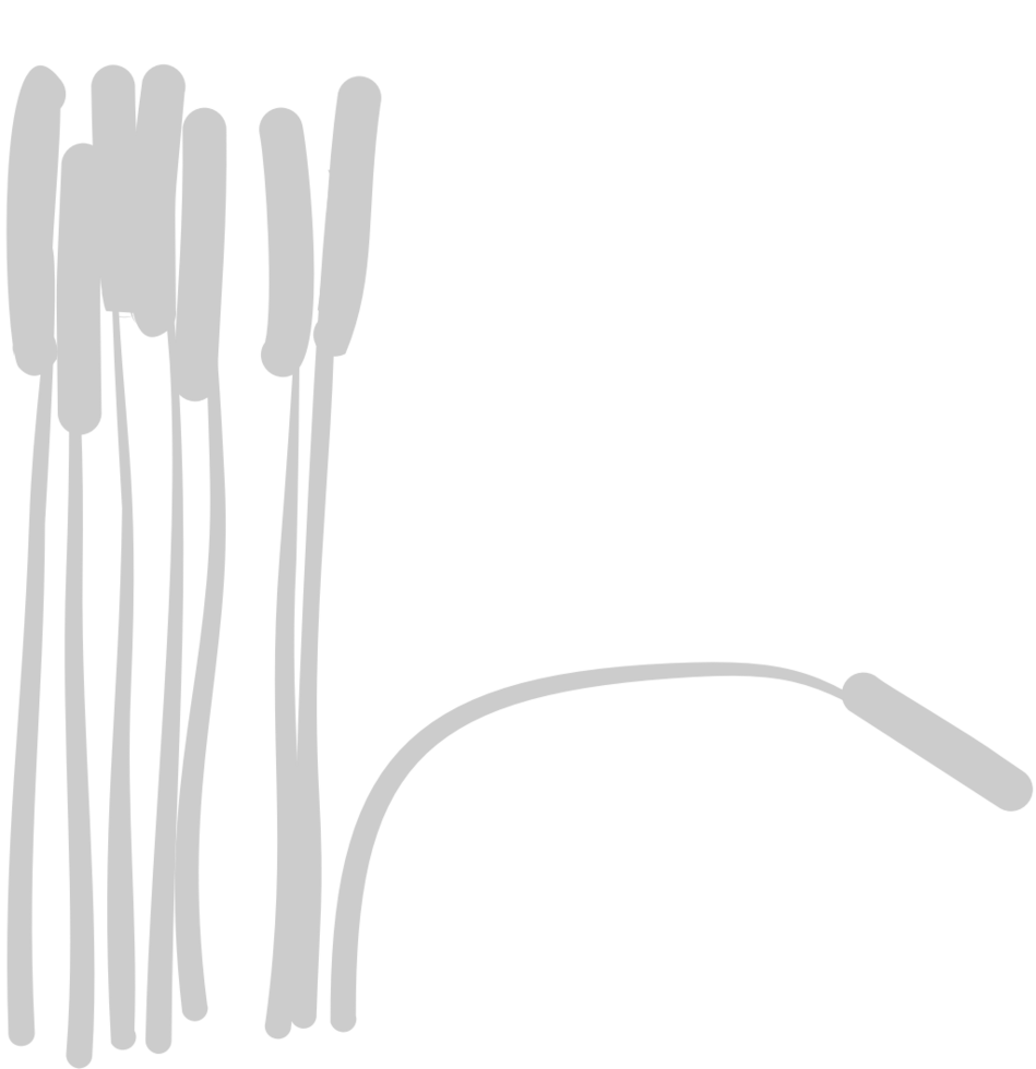 Cattails vector