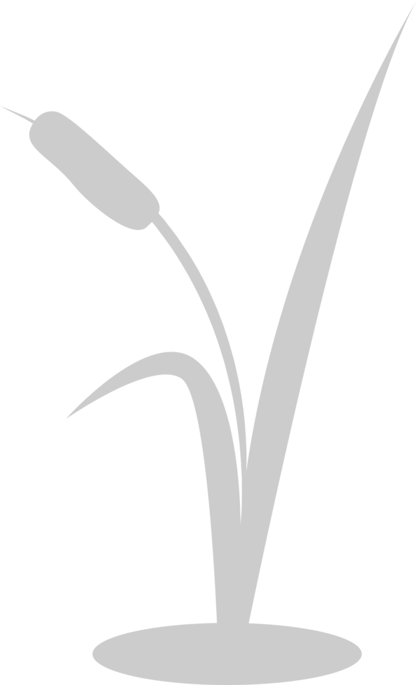 Cattails vector