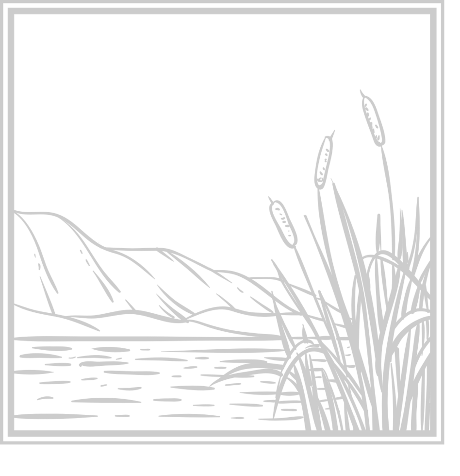 Cattails Badge vector